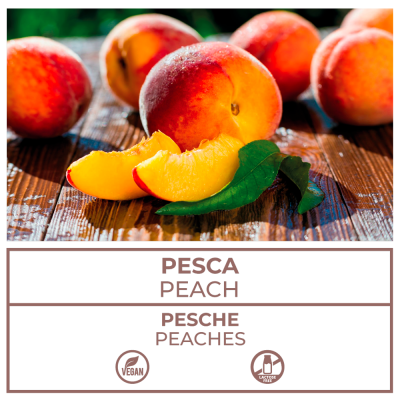 Pesca